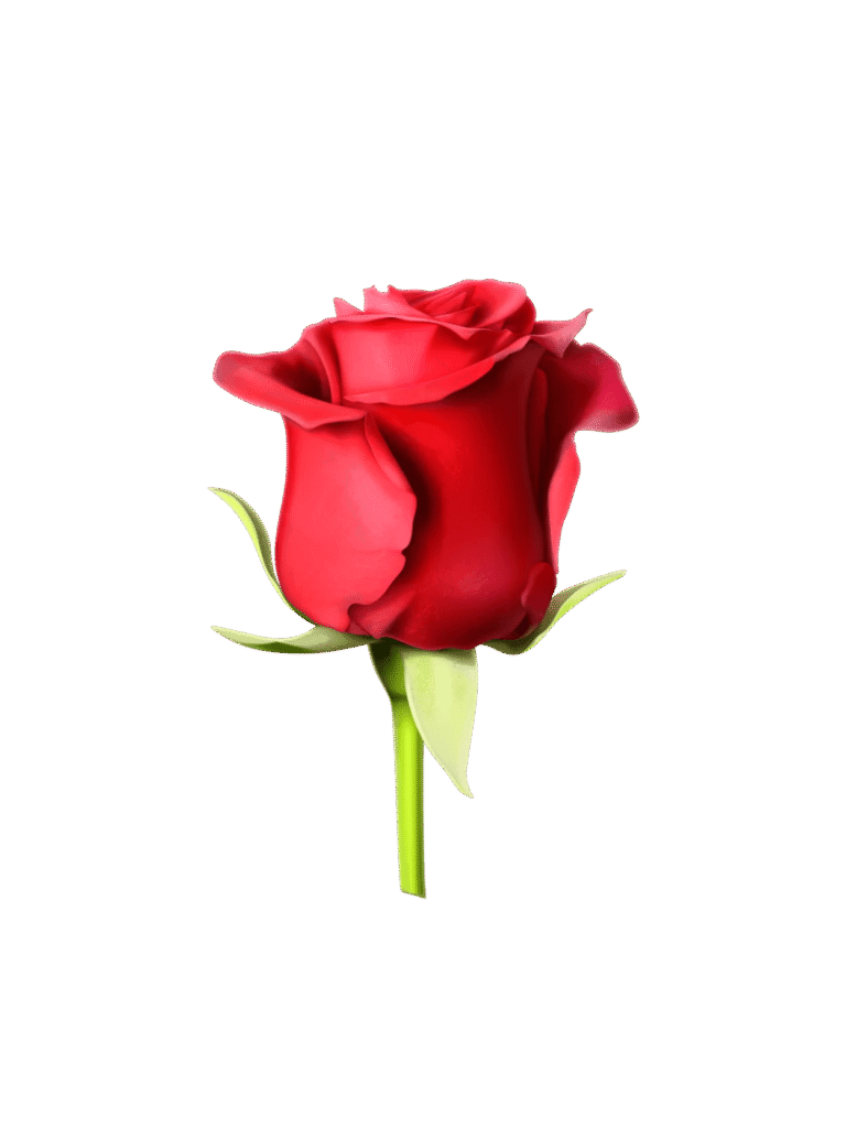 Rosa Roja