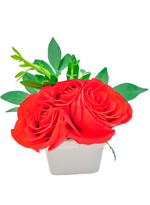 Maceta con 3 rosas